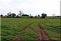 Farm track across pasture near Huddlesford, Staffordshire