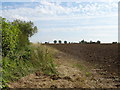 Footpath to Richmond