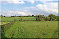 Pasture south-west of Huddlesford in Staffordshire