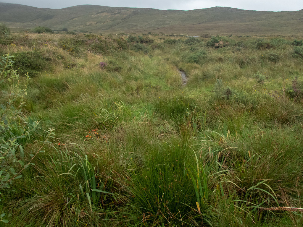 rough-ground-neville-goodman-geograph-ireland