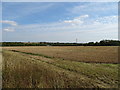 Stubble field, Helions 