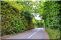 East Devon : Country Road