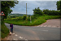 East Devon : Country Road