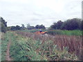 Clearing the Leven Canal