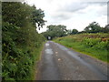 Donaldsons Road heading SE towards the junction with Ballyfannanhan Road