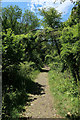 Path to Steer Point Road