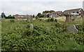 Overgrown burial ground in Hengoed