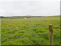 View inland from the Pembrokeshire Coast Path