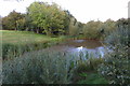 Pond on the golf course