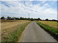 Minor road towards Glemsford