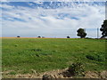 Grassland, Fenstead End