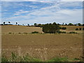TL8249 : Fields Braggon's Hill by JThomas