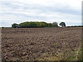 Stubble field near Somerton Hall