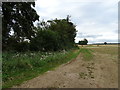 Farm track beside the River Lark, Harram Bottom