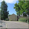 Sunflowers on St Bede