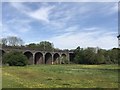 Hertford Railway Viaduct from Cole Green Way