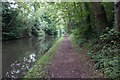 Grand Union Canal towards bridge #79