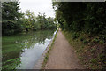 Grand Union Canal near bridge #84