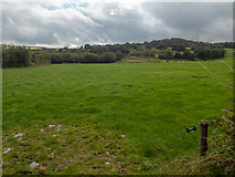 W2573 : Irish farmland by Neville Goodman
