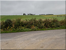 W5658 : Farm on the hill by Neville Goodman