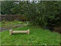 W5553 : Bridge and bench by Neville Goodman