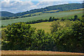 Nettlecombe : Countryside Scenery