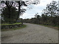 Driveway to Lochturffin Farm