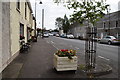 Flower bed, Beragh