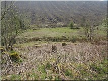 NX3695 : Unplanted area beside the Stinchar by Richard Webb