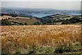 View to Devonport