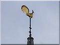 TQ9037 : Weather Vane on the Spire of St Mary the Virgin Church in High Halden by John P Reeves