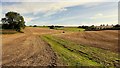 Rolling stubble land near Kiln Green