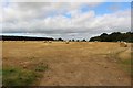 Arable land on Ely  Moor