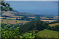 Old Cleeve : Countryside Scenery