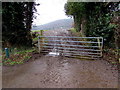 Muddy field entrance, Hope, Flintshire