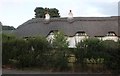 Thatched cottage in Lyndhurst