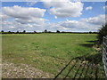 TF2343 : Grassland near Skerth End Farm by Jonathan Thacker