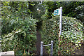 Footpath off Hepworth Road, Jackson Bridge