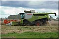 Harvesting wheat at Christon Bank