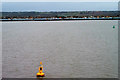 TQ8181 : River Thames, Sea Reach Buoys by David Dixon
