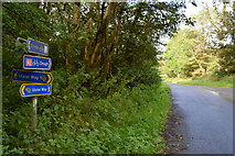 H4782 : Ulster Way signs, Lislap East by Kenneth  Allen
