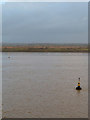 TQ6875 : River Thames, Tilbury Buoy by David Dixon