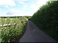 Track (footpath) towards Glass Houses