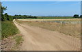 Farm track near Cowton House