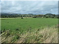 SH8830 : Farmland to the east of Llanuwchllyn by Christine Johnstone