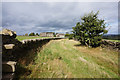 Hill Top Road towards Cartworth Bank Road