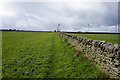 Path leading to Cartworth Moor Road