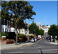 Tree-lined Windsor Road, Barry