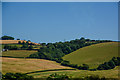 Berry Pomeroy : Countryside Scenery