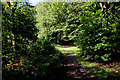 Footpath ascending Billinge Hill